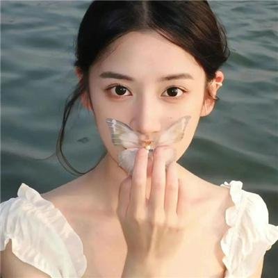 铁拳：血脉